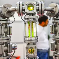 看 - 触摸 - 信任